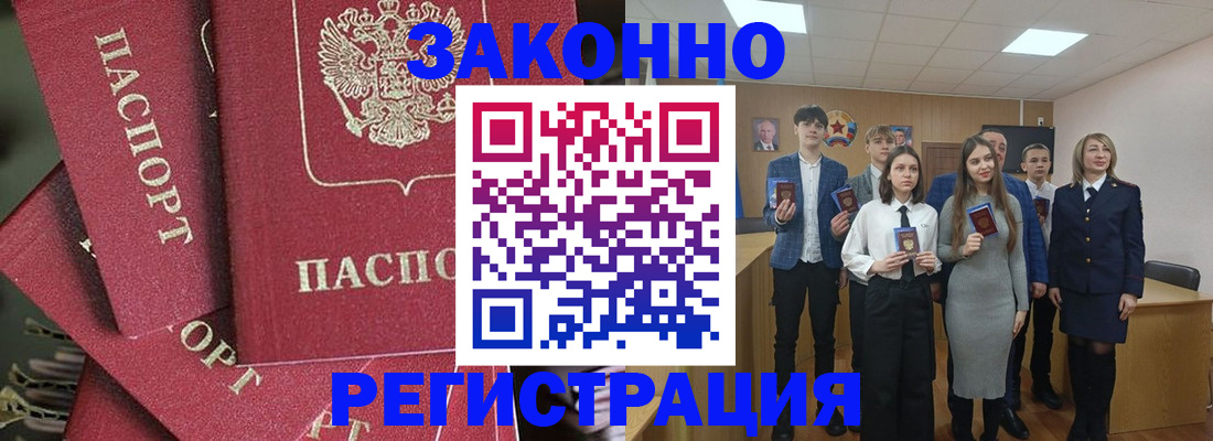 найти адрес прописки в Мончегорске